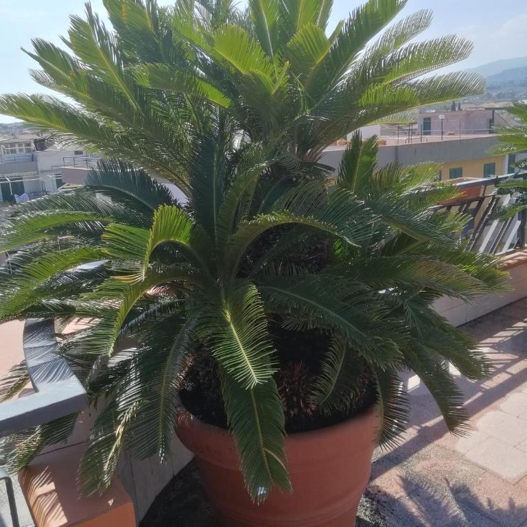 Casa 2 Sole - Mare - Montagna - con Terrazza e una vista suggestiva - Appartamento con 2 Camere da Letto e Vista Mare - 42