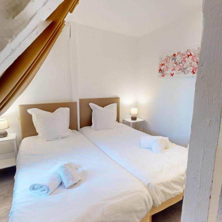 Strasbourg Appart Rue du 22 Novembre - Apartamento Pleyel de 2 dormitorios y sala de estar - 13