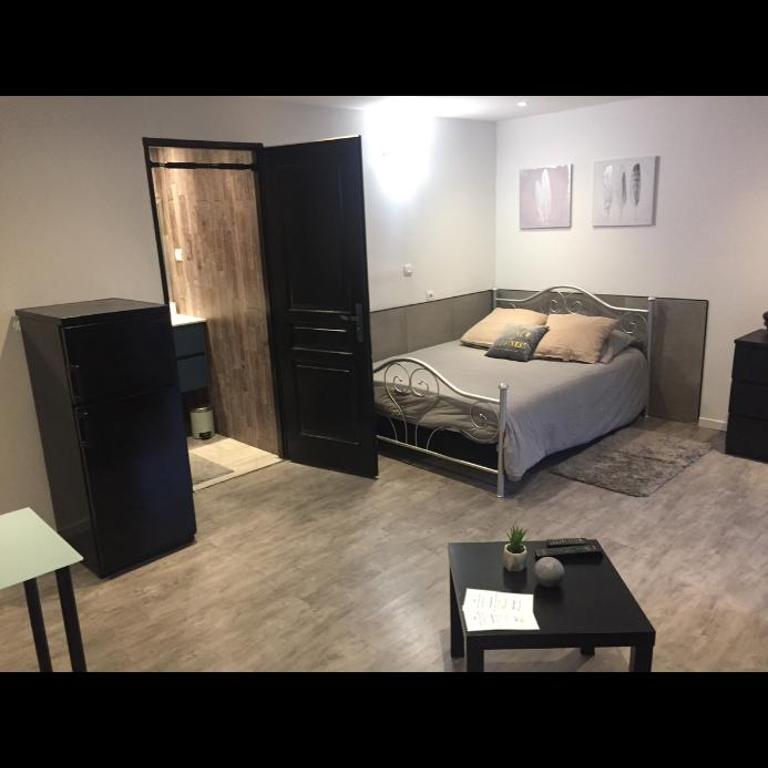 Studio ensoleillé sur Montpellier - Apartment mit 1 Schlafzimmer - 2