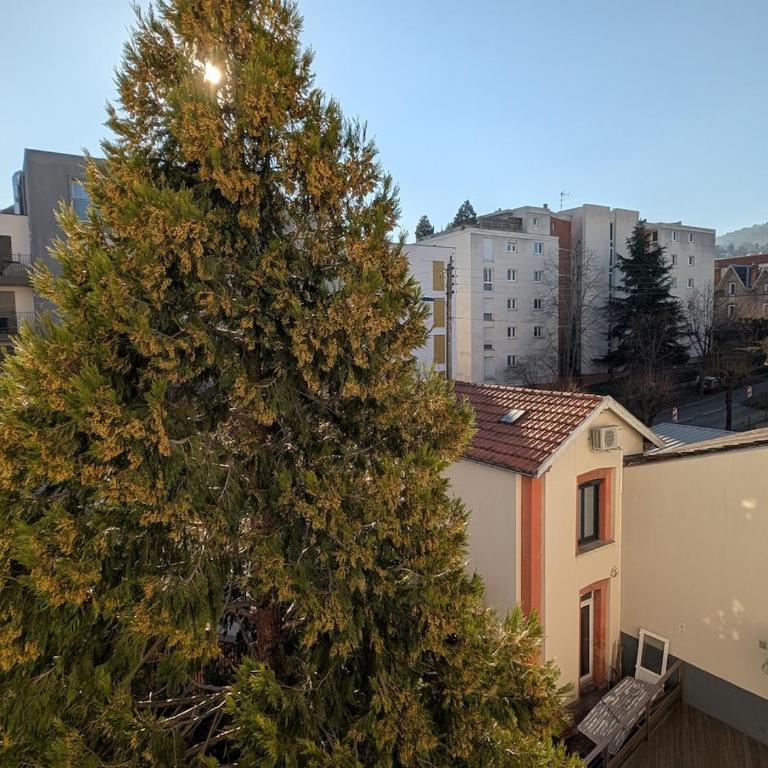 L'appart le 19 , F3 proche centre vue cathédrale, 2 chambres - Apartment mit 2 Schlafzimmern - 26