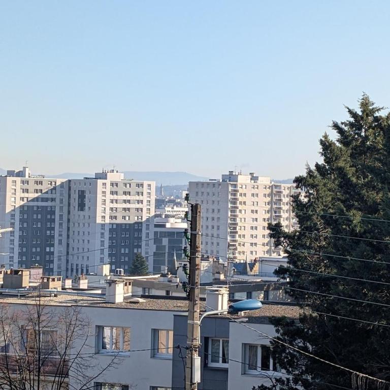 L'appart le 19 , F3 proche centre vue cathédrale, 2 chambres - Apartment mit 2 Schlafzimmern - 27