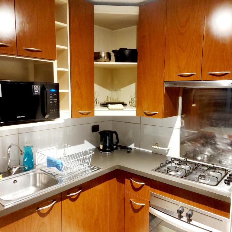 Santiago Centro - Apartamento de 1 dormitorio - 1