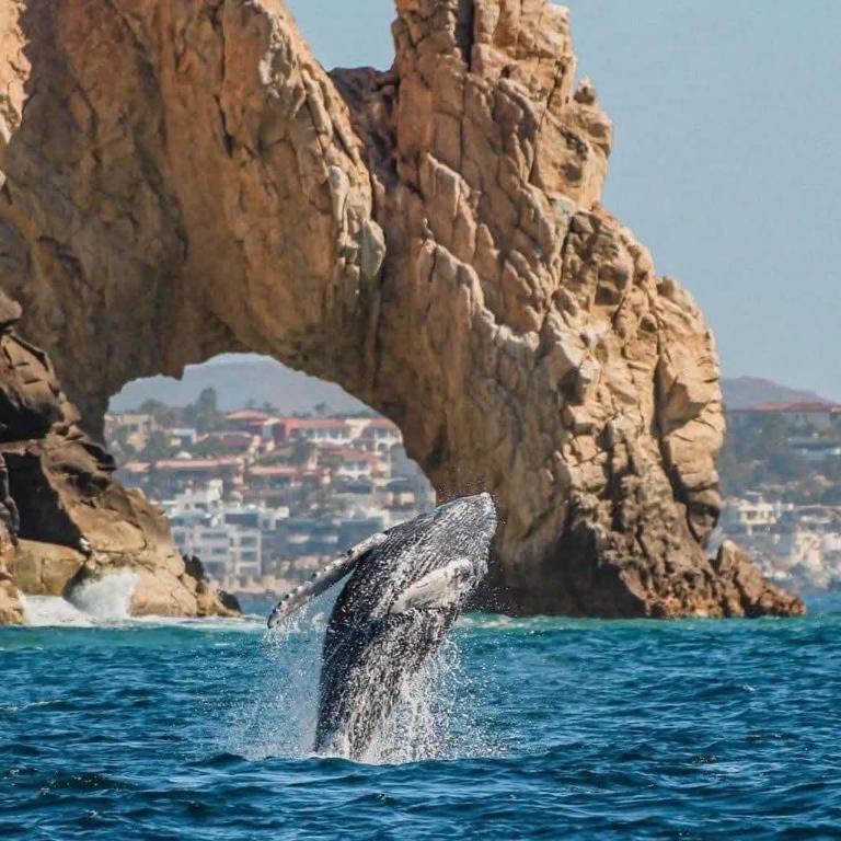 Mesmerizing Ocean & Arch Views King Beds Pool Luxury Family Friendly - Apartamento de 3 dormitorios con vistas al océano - 34