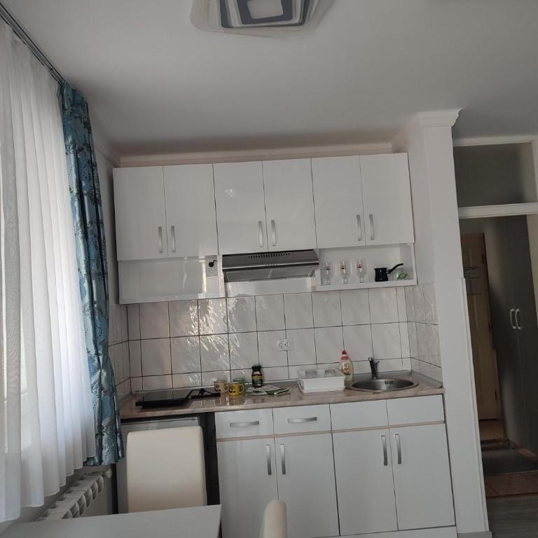 Apartman Plava nota - Studio with Terrace - 12
