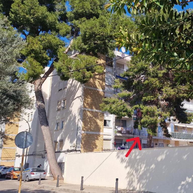 Gandia Grau 5 - Apartamento de 3 dormitorios - 20