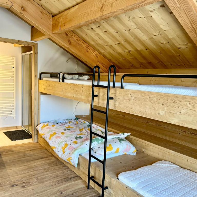 Chalet Neuf 12 pers Ski au pied, Cinéma - Superior Chalet - 19