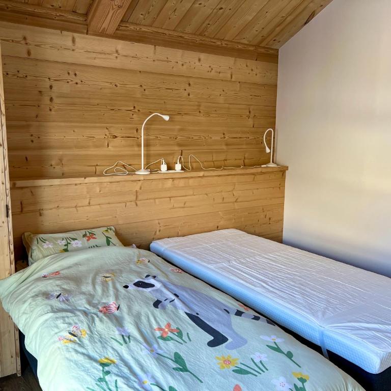 Chalet Neuf 12 pers Ski au pied, Cinéma - Superior Chalet - 21