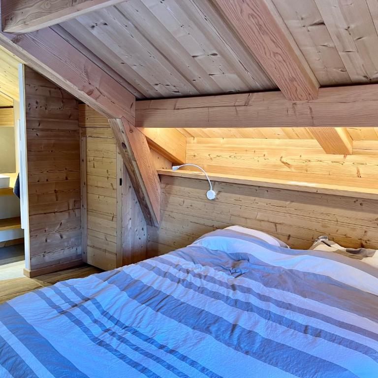 Chalet Neuf 12 pers Ski au pied, Cinéma - Superior Chalet - 29