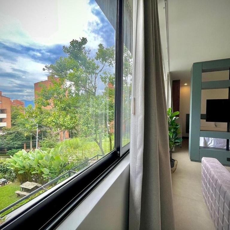Nice Apartment 205 in san lucas - One-Bedroom Apartment - 4
