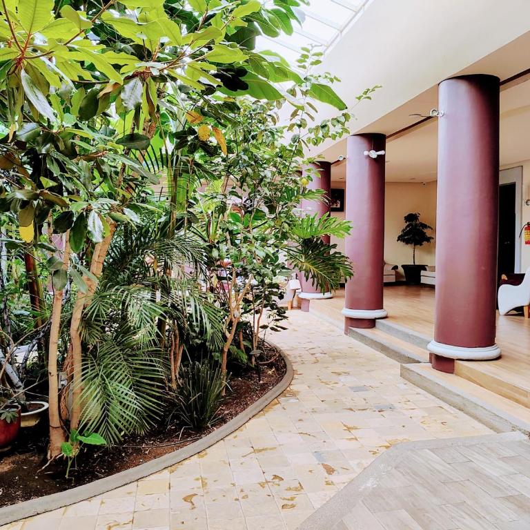 Hotel Jardines del Centro - Standard Double Room with Two Double Beds - 4