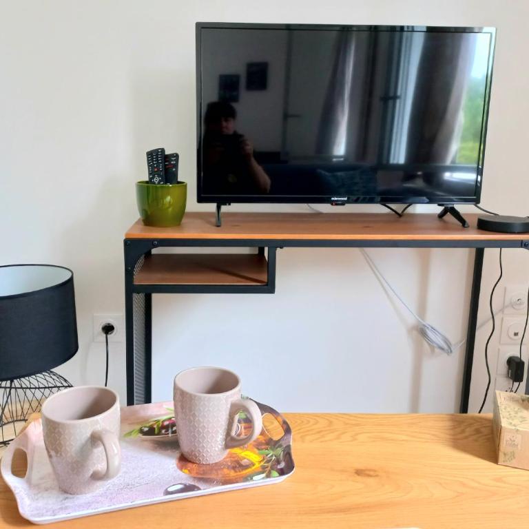 Grand studio parking-bord de Loire- hyper centre - Apartment with City View - 10