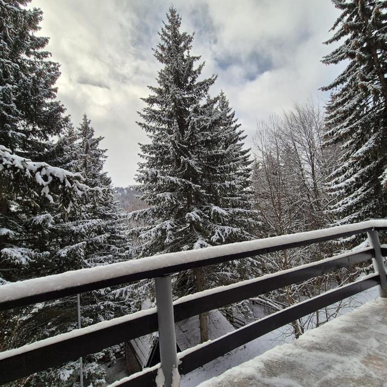 Mountain Nook - Apartman sa 2 Spavaće Sobe - 2