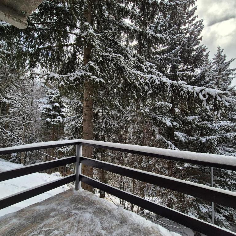 Mountain Nook - Two-Bedroom Apartment - 10