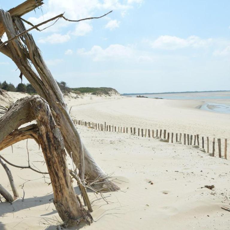 150m plage COEUR DE BERCK - Appartement 1 Chambre - 12
