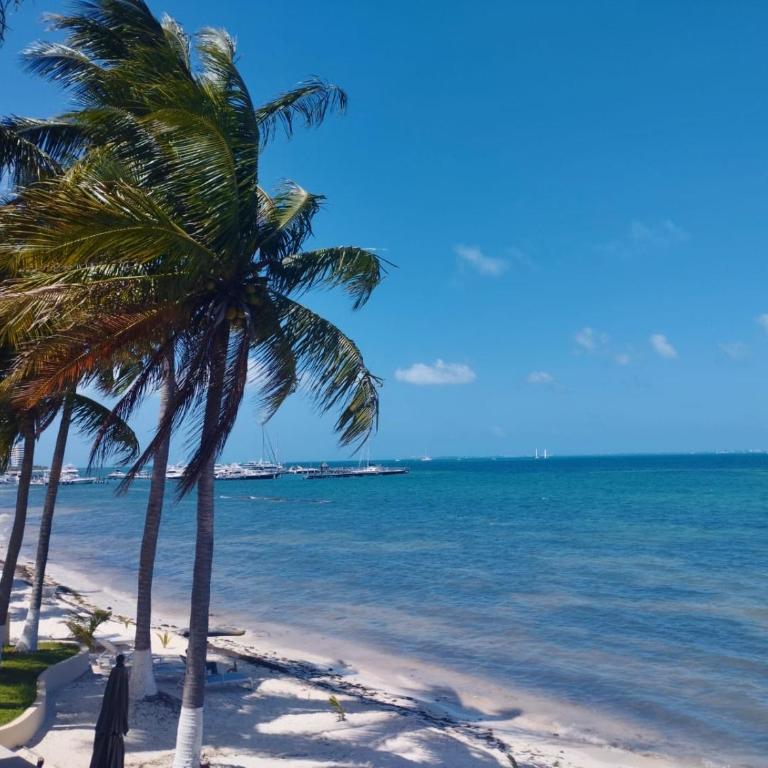 Ocean View PLAYA DEL NIÑO Rooms & Apartments - Deluxe Double or Twin Room with Sea View - 9