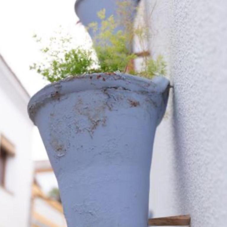 "Apartamento con Patio Andaluz junto a Catedral" - Apartment mit 2 Schlafzimmern - 3