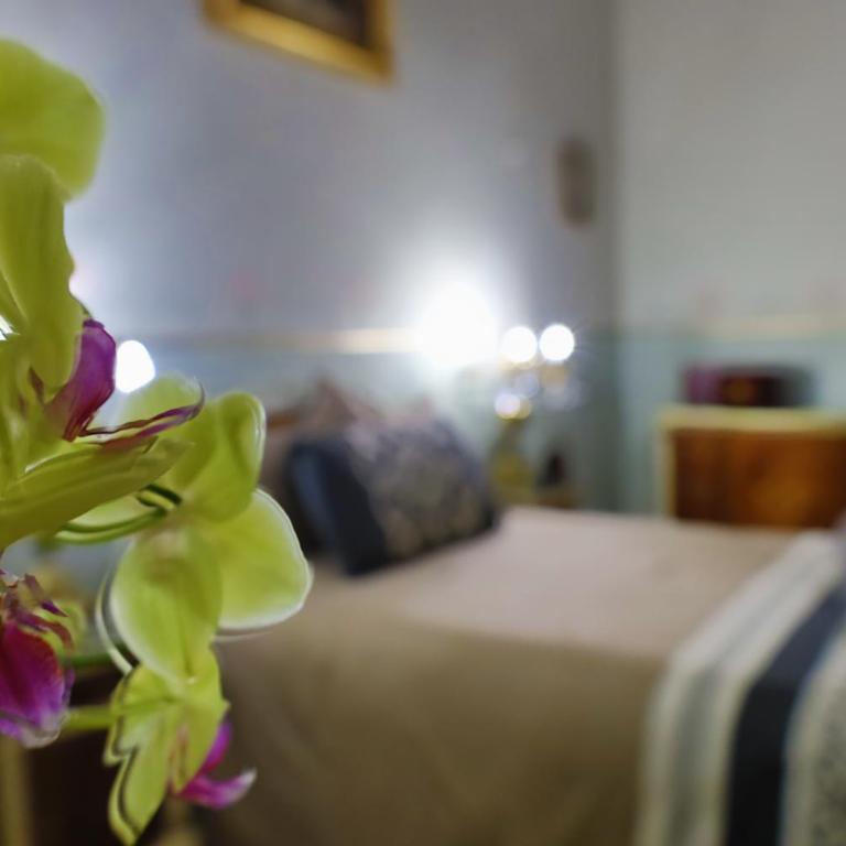 Azcami Boutique Hotel - Superior Suite - 4