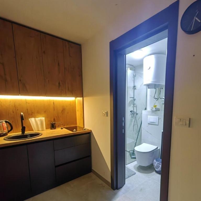 Porta Porta 22 Kopaonik - free garage - Apartman sa 1 Spavaćom Sobom - 10