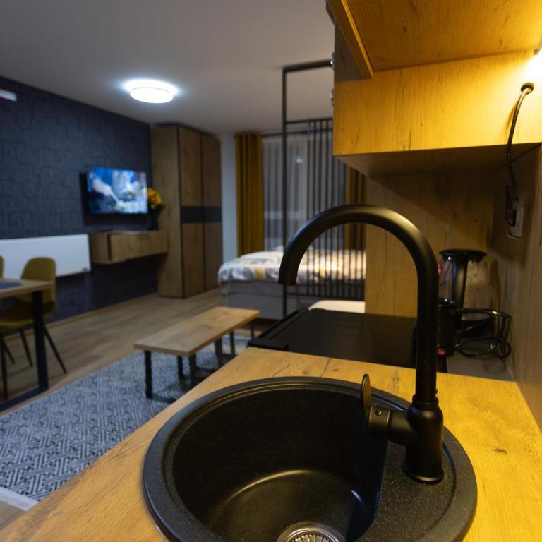 Porta Porta 22 Kopaonik - free garage - Apartman sa 1 Spavaćom Sobom - 11