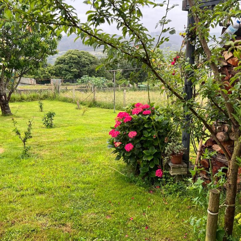 Apartamento de Pascualin con jardin privado en Ortigueira - Apartamento de 1 dormitorio - 10