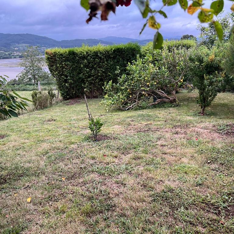 Apartamento de Pascualin con jardin privado en Ortigueira - Apartamento de 1 dormitorio - 5