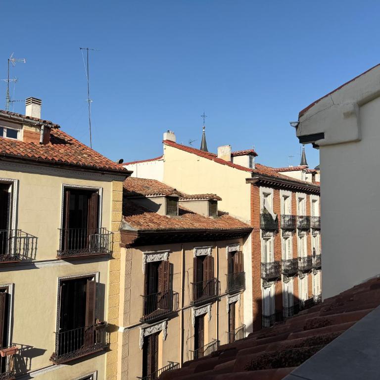 PlazaMayorSuites - One-Bedroom Apartment with Terrace XIV - 14
