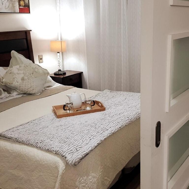 Santiago Santa Lucia - Apartamento de 1 dormitorio - 11