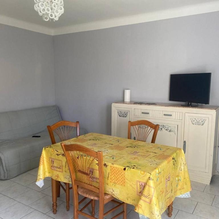 F2 ensoleillé près des thermes, animaux admis - One-Bedroom Apartment - 10