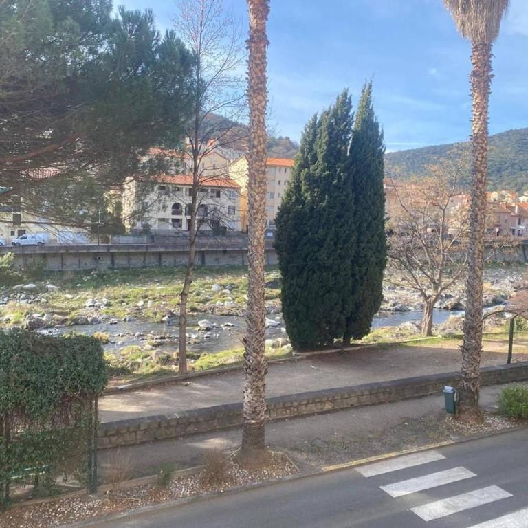 F2 ensoleillé près des thermes, animaux admis - One-Bedroom Apartment - 11
