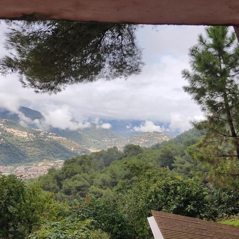 Studio dans Villa Don Quijote Nice - Apartamento de 1 dormitorio - 2