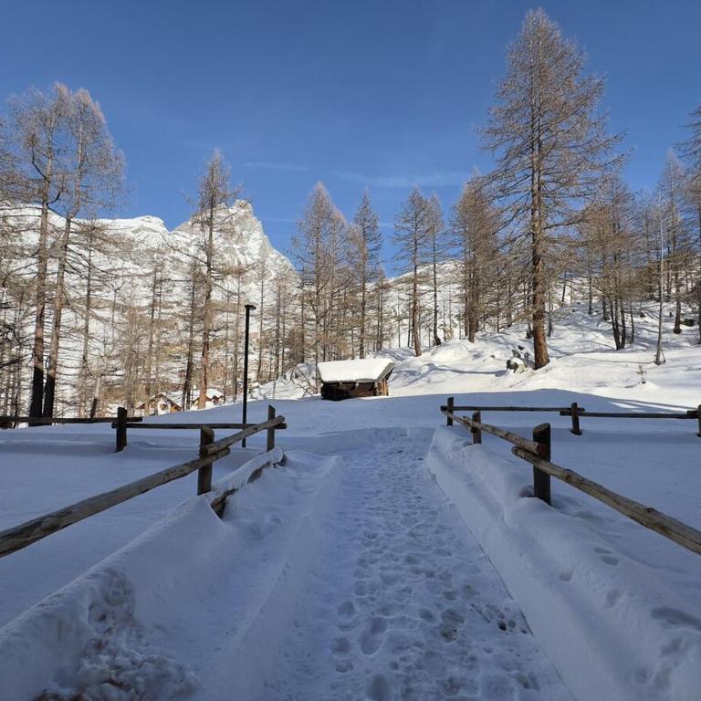 Your Nest In The Mountains - Appartamento con 2 Camere da Letto - 18