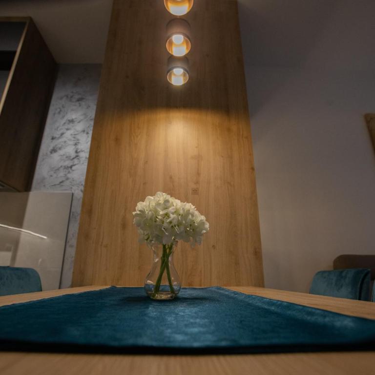 Favorit apartman - Apartman sa 2 Spavaće Sobe - 18