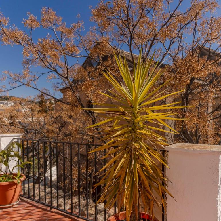 Albalh Apartamentos - La Casita de la Plaza en Albaicín Granada con Terraza Privada y Vistas Espectaculares - Two-Bedroom House - 31
