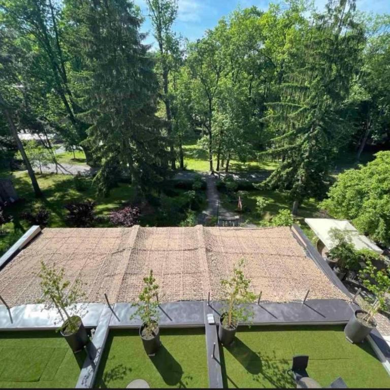 Vila Savka - Deluks Dvokrevetna Soba sa Bračnim Krevetom/Zasebnim Krevetima - 3