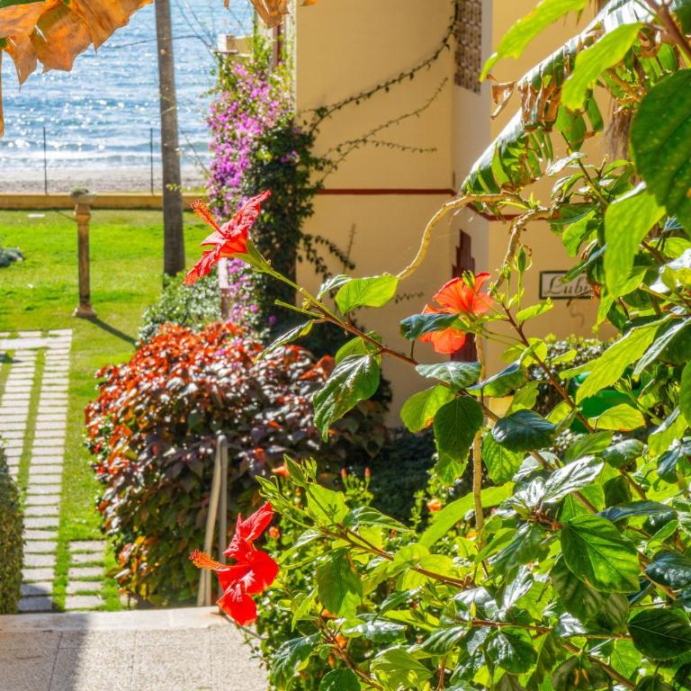 Beachfront Apartment with Pool, Padel & Private Parking - Apartamento de 2 dormitorios - 60