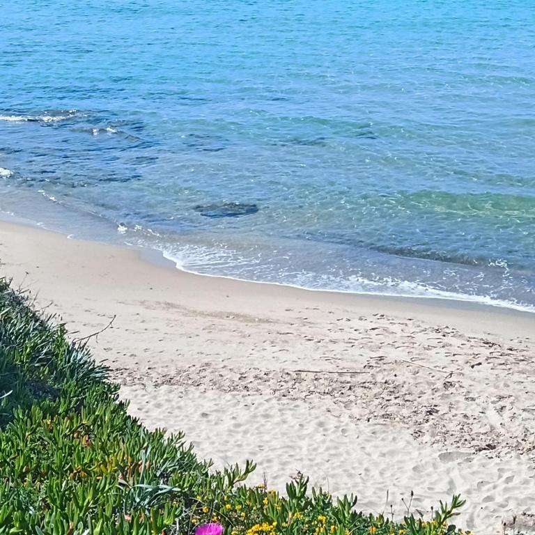 Le case di Lidia due appartamenti con piscina e accesso diretto al mare - Appartamento con 1 Camera da Letto e Vista Mare - 28