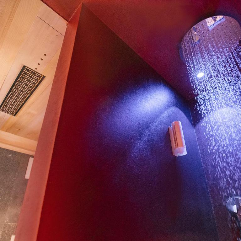 Weingut & Genusshotel Spitalerhof Superior - Chalet de 1 dormitorio - 5