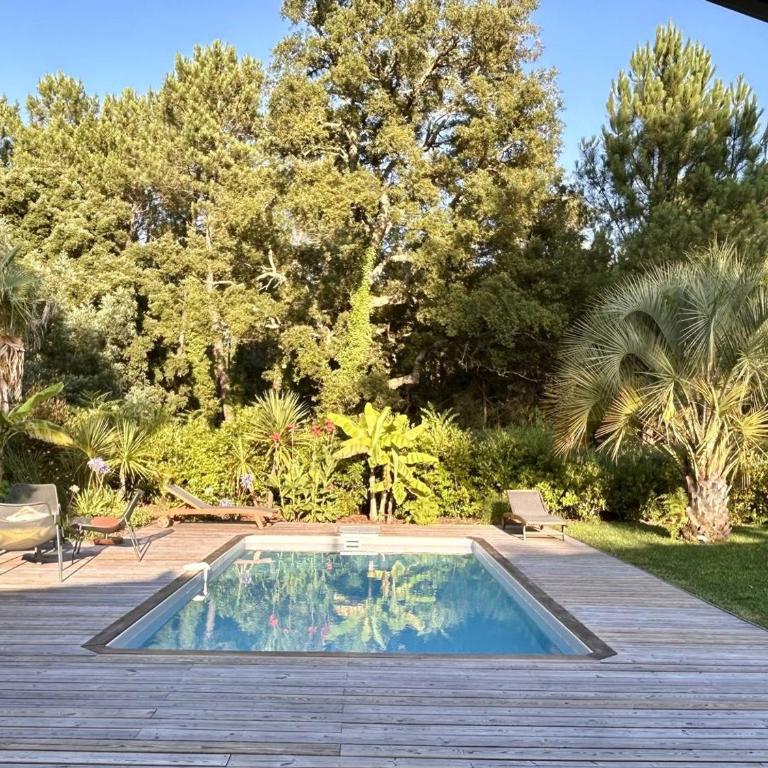 Villa avec piscine chauffée, jardin exotique, au calme proche plages et commerces, Capbreton - FR-1-791-17 - Villa - 1