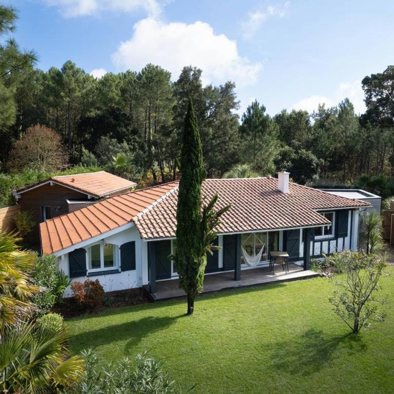 Villa avec piscine chauffée, jardin exotique, au calme proche plages et commerces, Capbreton - FR-1-791-17 - Villa - 21