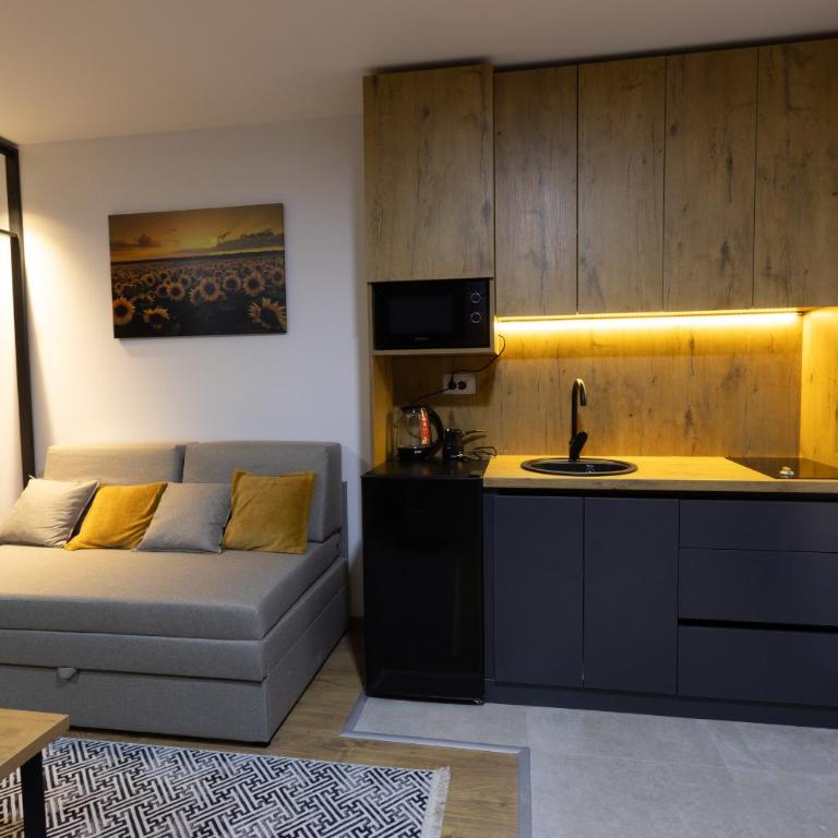 Porta Porta 22 Kopaonik - free garage - Apartman sa 1 Spavaćom Sobom - 5