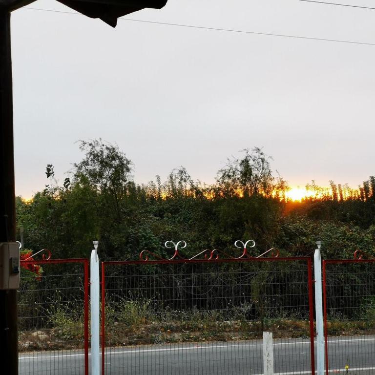 Molina, cerca de 7 Tazas, campo con animales - Four-Bedroom House - 12