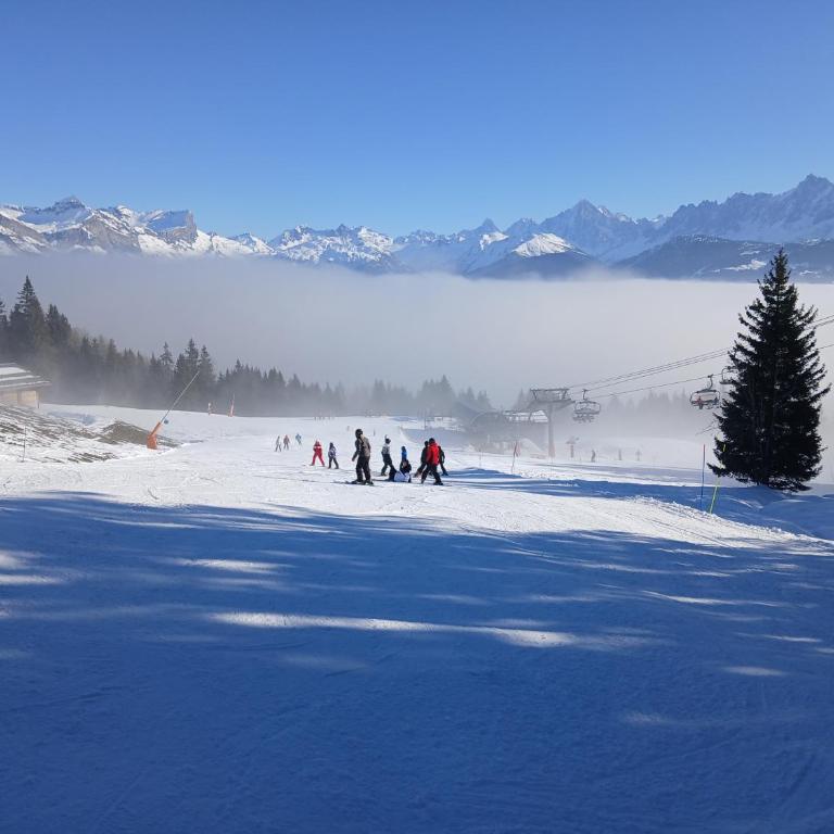 Magnifique studio Megève - Appartamento con 1 Camera da Letto - 36