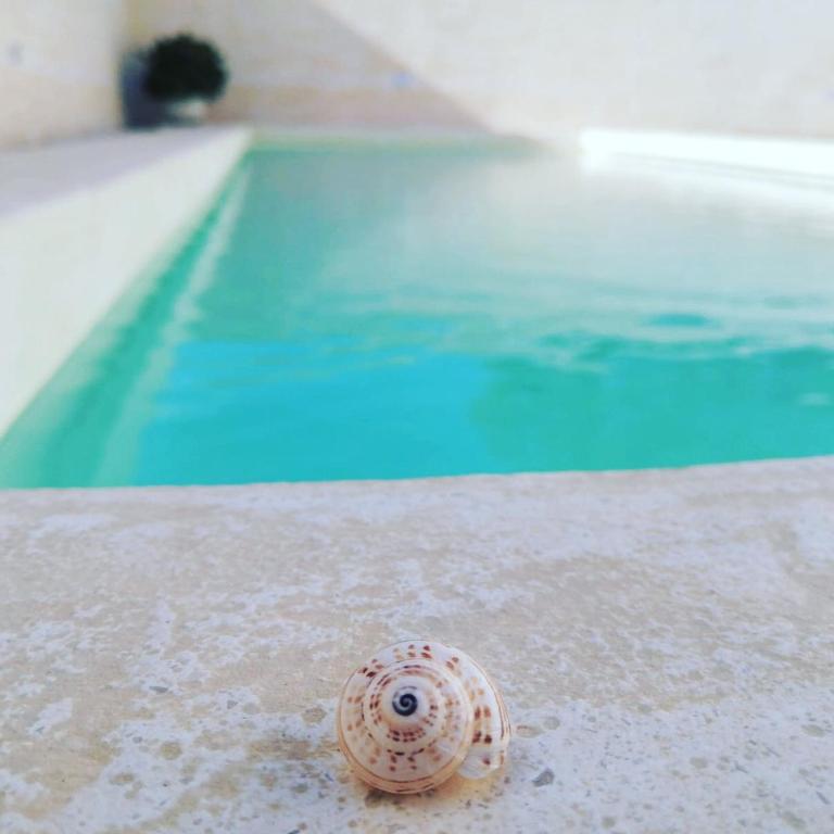 Villa Buen Retiro - Appartamento con Piscina - 25