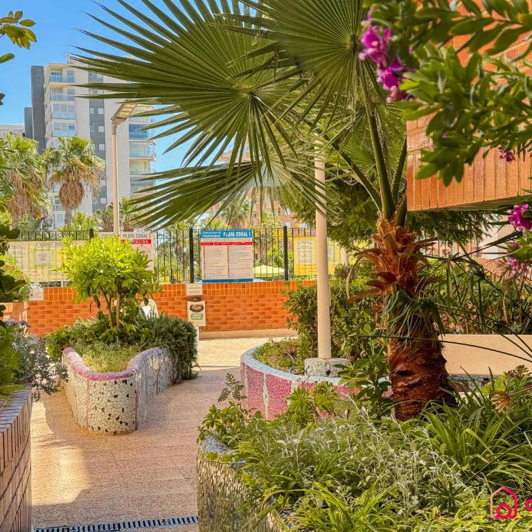 Balcón al Mediterráneo - Apartamento de 2 dormitorios con terraza y vistas al mar - 39