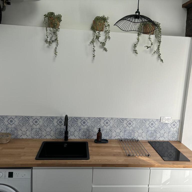 Le Clos Saint-Jacques - Appartement 2 Chambres - 10