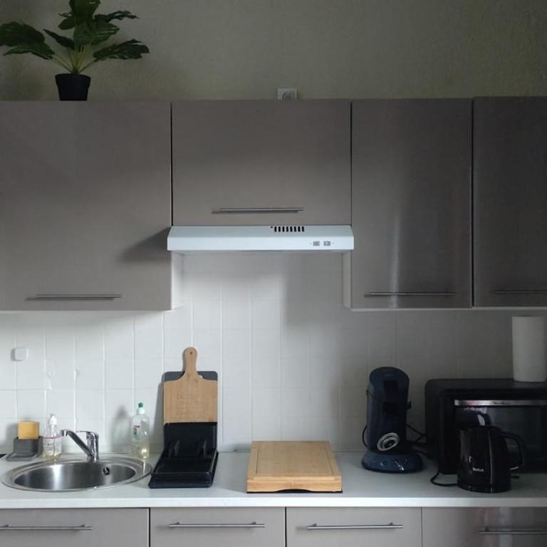 Joli duplex-mezzanine à Amélie-les-Bains - Appartement 1 Chambre - 10