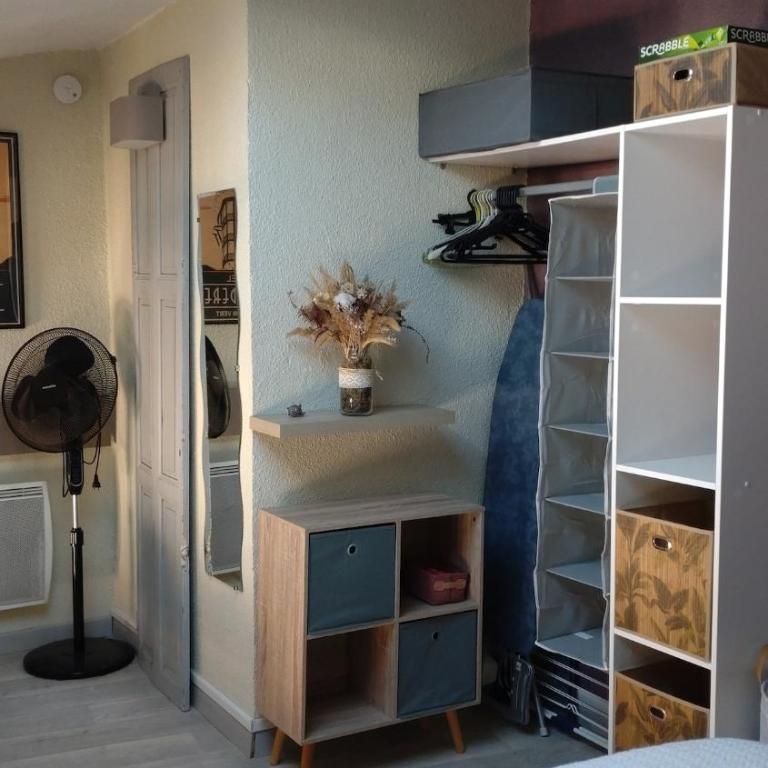 Joli duplex-mezzanine à Amélie-les-Bains - Appartement 1 Chambre - 21