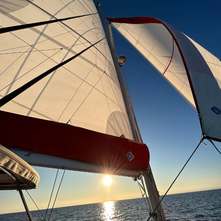 Croisière Privée sur le trimaran TRIKALA - Mobile Home - 21