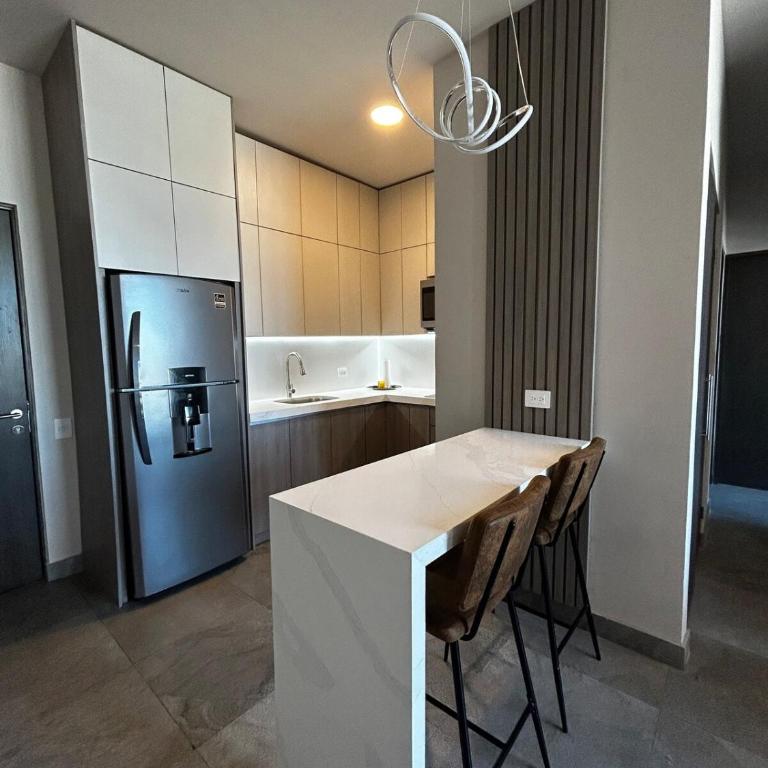 Departamento de Lujo, en el centro de Mty - Two-Bedroom Apartment - 23