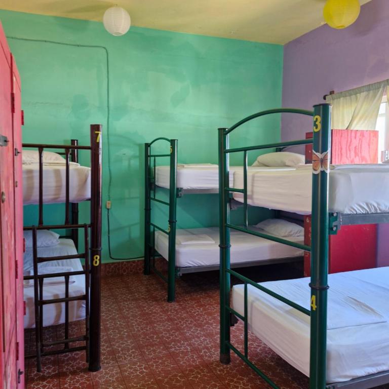 Casa Kraken Hostel - Single Bed in Female Dormitory Room - 3
